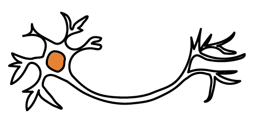 Neuron